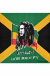 Bob Marley freedom 55х55 см