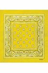Paisley Cotton 55х55 см