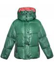 Пуховик Moncler E20934984525 зеленый