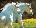 GX 30151 Пара белых лошадей 40*50