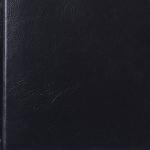 Ежедневник недатированный А5 (138х213мм) BRAUBERG Black Jack, кожзам, 160л, черный, 123344