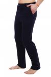 Мужские брюки Дэрил (3245). Расцветка: темно-синие