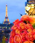 Букет роз на фоне Ейфелевой башни