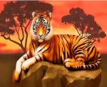 Большой тигр отдыхает на камне