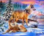 Волки в зимней долине