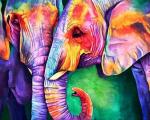 - Влюбленные слоны в цвете