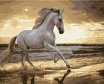 Белый конь ловит волну