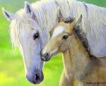 Белая лошадь и ее ребенок