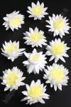 Головки цветов "Хризантема" двухцветная 4,5 см (30 шт) SF-2294, белый