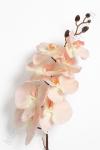 Ветка декоративная "Орхидея" 106 см (SF-1557) нежно-розовый