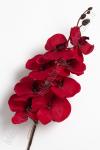 Ветка декоративная "Орхидея" 106 см (SF-1557) темно-красный