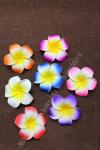 Головки "Гавайские цветы" 9 см (25 шт) ассорти