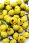 Головки цветов "Пион" 2,5 см (50 шт) SF-045, желтый №14