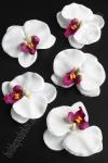 Головки цветов "Орхидея" 6,5 см (30 шт) SF-2293, белый