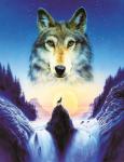 Волк в горах на фоне солнца