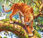 Леопард на огромном дереве