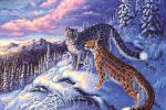 Снежные леопарды на фоне гор