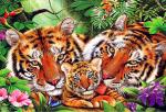 Семья тигров в летнем лесу