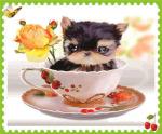 Маленький щенок с чайной розой
