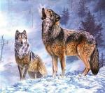 Волчий вой в зимнем лесу