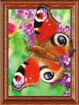 Бабочка павлиний глаз на фоне цветов