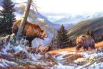 Два больших медведя в горах