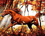 Бег лошади в осеннем лесу