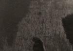 Вискоза "Элит" фактурная, ворс 6мм (основа х/б -ворс вискоза) ,  45см*50см,  цв.005,  Италия