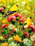 Желтые птицы в цветах