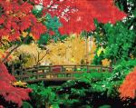 Деревянный мост в осеннем парке