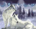 Белые волки в ночной метели