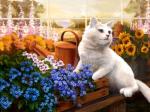 Белый кот в саду среди цветов