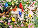 Яркие птицы на цветущем дереве