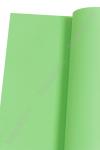 Фоамиран зефирный "1 сорт" 1 мм, 60*70 см (10 листов) SF-3584, светло-зеленый №238