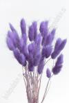 Сухоцветы "Лагурус" SF-4322, фиолетовый