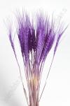 Сухоцветы "Колоски" SF-4323, фиолетовый