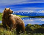 Бурый медведь на фоне Альпийских гор