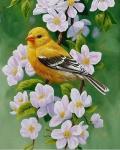 Желтая птичка на цветущей ветке