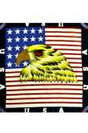 Орёл на звёздно-полосатом флаге 55х55 см