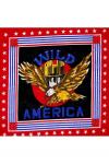 Wild America - Орел 55х55 см