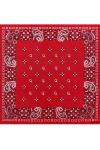 Paisley Square pattern 55х55 см