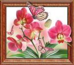 Бабочки над орхидеями