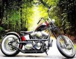 Harley Davidson