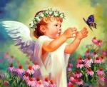 Малыш-ангелочек играет с бабочкой