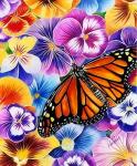 Бабочка на фиолетовых цветах