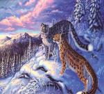 Снежные леопарды в горах