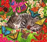 Полосатый котенок спит среди бабочек и цветов