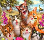 Веселые котята, цветы и бабочки
