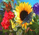 Три разные бабочки на ярких цветах