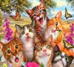 Веселые котята, бабочки и цветы